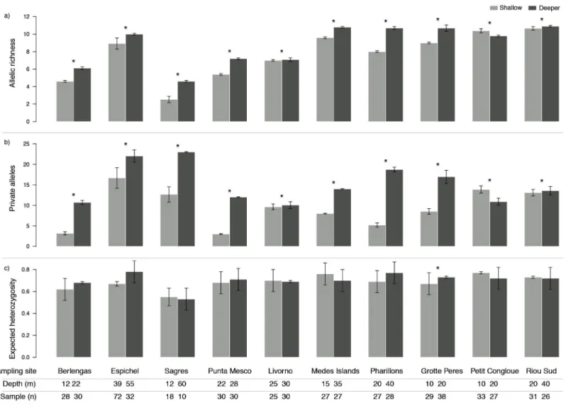Figure 2 Genetic diversity (mean ± SD) as (A) allelic richness, (B) private alleles and (C) expected heterozygosity of Paramuricea clavata in shallow (light grey) and deeper (dark grey) populations