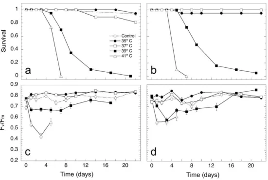 Figure 1. Survival rate (a, b) and Fv/Fm (c, d) for Z. noltei shoots from the two sampled sites, Praia de  Faro and Ramalhete, at 35, 37, 39 and 41ºC, and in controls (no heat shock applied)