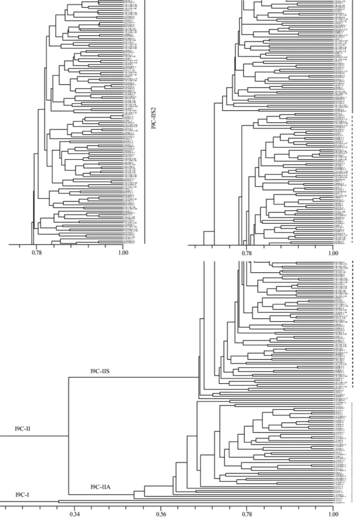 Figure 8. – Phenogram produced by Jaccard’s coefficient and the UPGMA clustering method based on 56 AFLP markers in 313 cork oak and 52 holm oak accessions (coefficient of cophenetic correlation r = 0.96854).