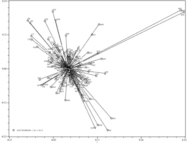 Figure 5. – Projection of the 291 characters onto the plane defined by the principal coordinates 1 and 3.