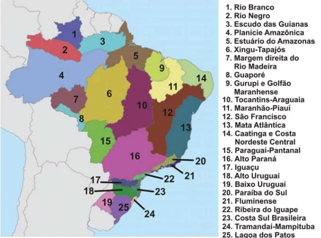 Figura 2-5. Ecorregiões aquáticas do Brasil definidas pela SRH/MMA (2005). 