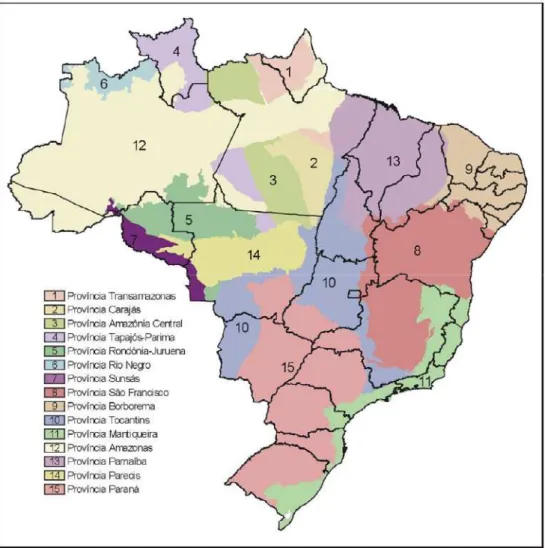Figura 2-10. Províncias estruturais do Brasil. Fonte: Bizzi et al. (2003). 