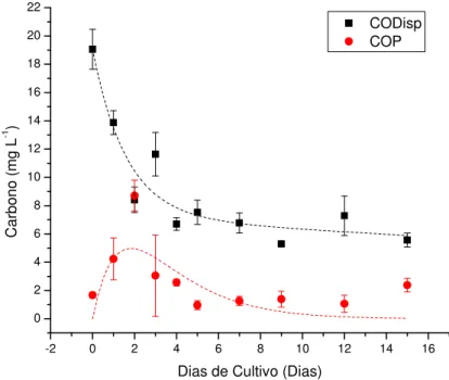 Figura 5. Curvas de decaimento do carbono orgânico disponível (CODisp) e de  incorporação e decaimento do carbono orgânico particulado (COP) em relação à  duração da cultura experimental (em dias), juntamente com o modelo cinético de  primeira ordem aplica