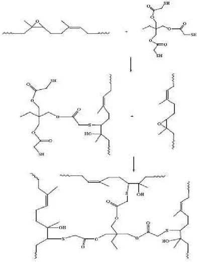 Figura 2.8 Reações da borracha natural epoxidada com TMP-SH [19]. 