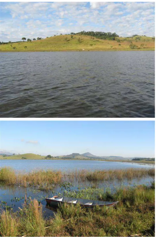 Figura 5: Vista parcial da Lagoa dos Tropeiros, bacia do Rio Piumhi, município de Capitólio-MG