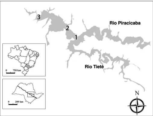 FIGURA 3.1 Localização geográfica do Reservatório de Barra Bonita (SP) ilustrando os pontos de  coleta