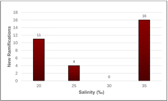 Figure 2.5: Gracilariopsis longissima number of new ramifications that appear throughout the  essay, according to salinity