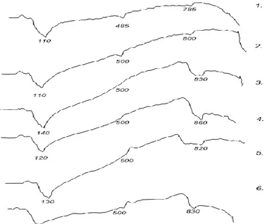 Figure 2.2.  –  DTA - thermograms of the cement stone for 28 days