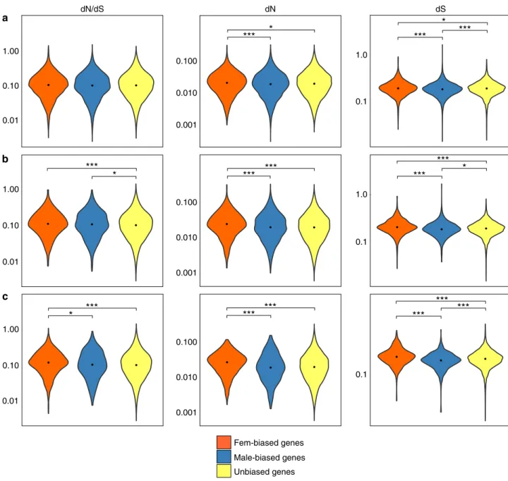 Fig. 3 Synonymous and non-synonymous substitution rates. Violin plots describing the distribution of dN, dS, and dN/dS values calculated on sex-biased genes (a), sex-biased genes with a log 2 FC > 3 (b), and sex-biased genes conserved in the six species
