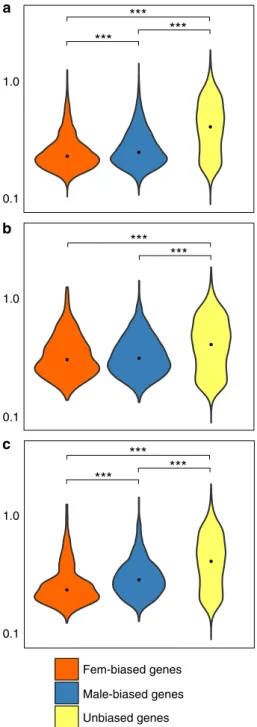Fig. 5 Coef ﬁ cient of variation (CVE) of sea bream genes. Violin plots describing the distributions of CVE values calculated on sex-biased genes (a), sex-biased genes with a FC > 3 (b), and sex-biased genes conserved in the six species analysed in this
