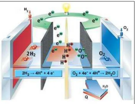 Figura 2.1: Esquema representativo de uma célula a combustível de  hidrogênio. 