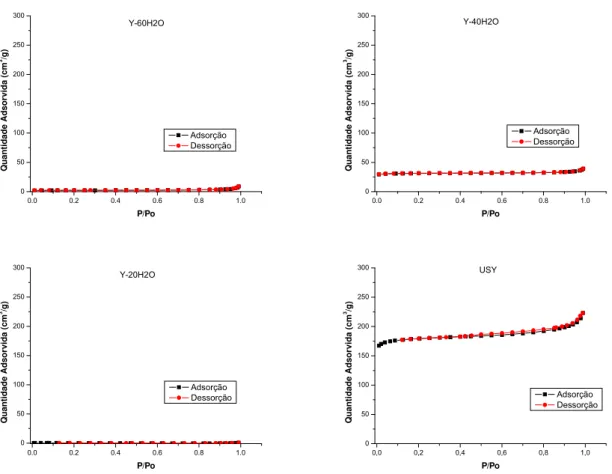 Figura 4.2 – Isotermas de fisissorção de nitrogênio para amostras com diferentes teores de água  entre 180 a 20 mols e amostra USY (continuação)