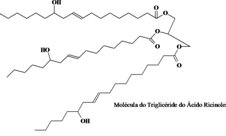 FIGURA 1.6 – Fórmula estrutural da molécula do triglicéride do ácido ricinoleico . 