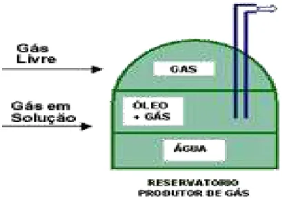 Figura  1  -  Representação  do  reservatório  onde  está  contida  a  mistura  de  gás  associado e gás não associado