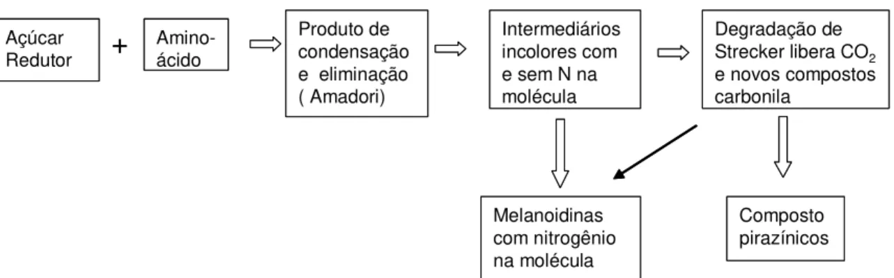 FIGURA 2.4 - Esquema da reação de Maillard 