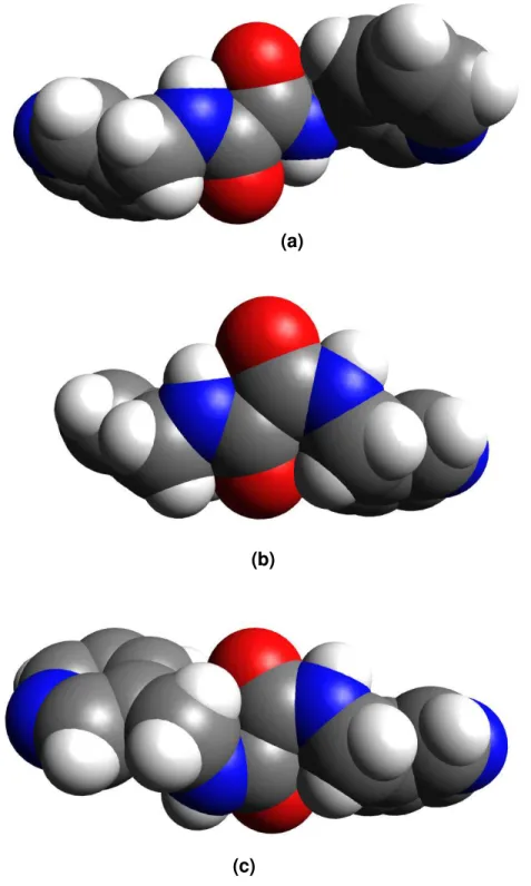 Figura  5.6.  Esferas  de  van  der  Waals  para  os  diferentes  confôrmeros  do  composto 2 em relação às ligações amida: (a) ZZ, (b) EZ, (c) EE