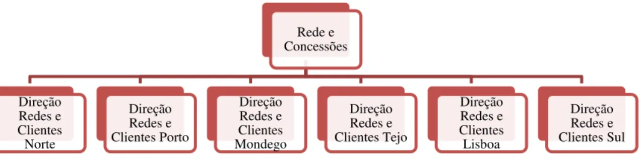 Figura 2.3 - Direção de Rede e Concessões Sul 