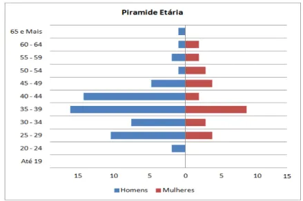 Gráfico 1- Pirâmide etária dos colaboradores. 