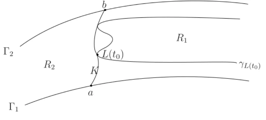 Figura 1.2.2: A componente conexa R.