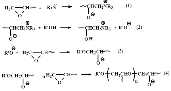 Figura 1.8 - Mecanismo da reação de cura proposto por Shechter usando base de Lewis como iniciador 11 .