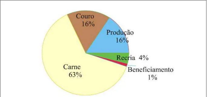 FIGURA 3.2 Distribuição dos estabelecimentos da cadeia produtiva do Jacaré do Pantanal (Caiman  yacare)
