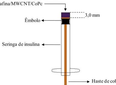Figura 10. Esquema do eletrodo compósito Parafina/MWCMT/CoPc. 