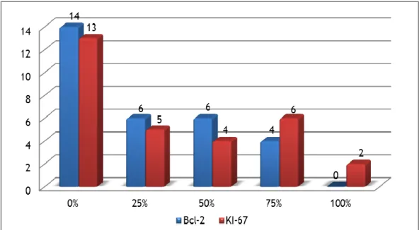 Gráfico 6 – Distribuição por percentagem de células marcadas para cada uma das proteínas estudadas