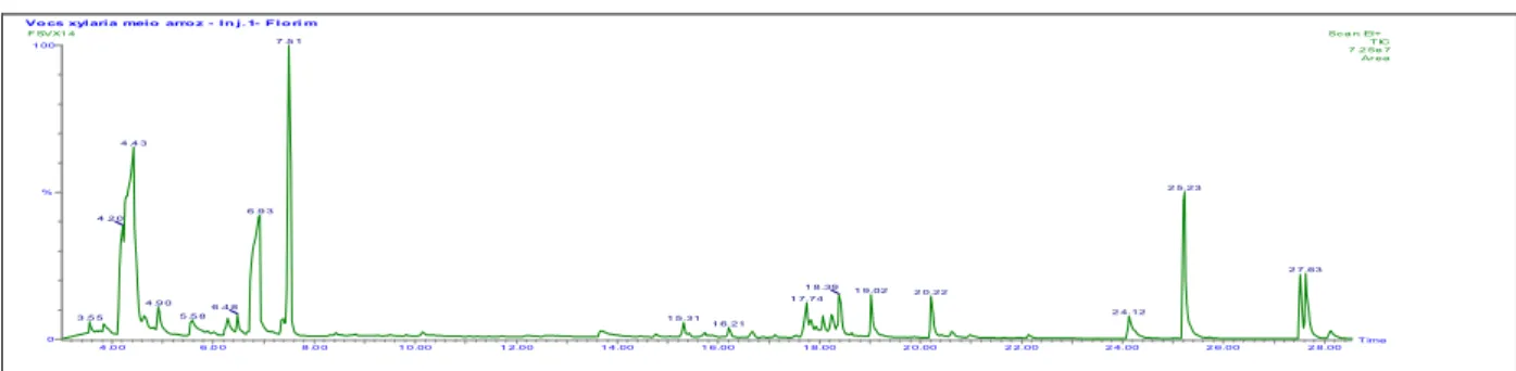 Figura 4-16 - Cromatograma de íons totatis do óleo essencial de Xylaria (NICL3) no meio sólido  arroz extraído pelo método da hidrodestilação