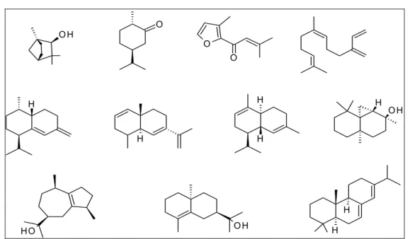 Figura 4-22 - Compostos identificados em comum para o óleo essencial de Cupressus  lusitanica e o fungo Xylaria (NICL3)