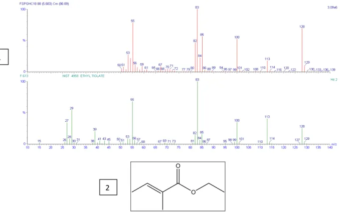 Figura 4-27 – 1) Espectros de Massas gerado pela biblioteca do aparelho para as duas  substâncias em questão