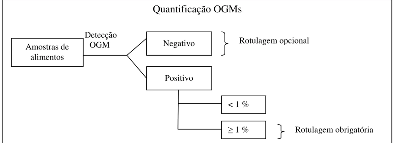 FIGURA 6.  Procedimentos operacionais para detecção e quantificação de soja GM  Fonte: BRASIL (2007) 