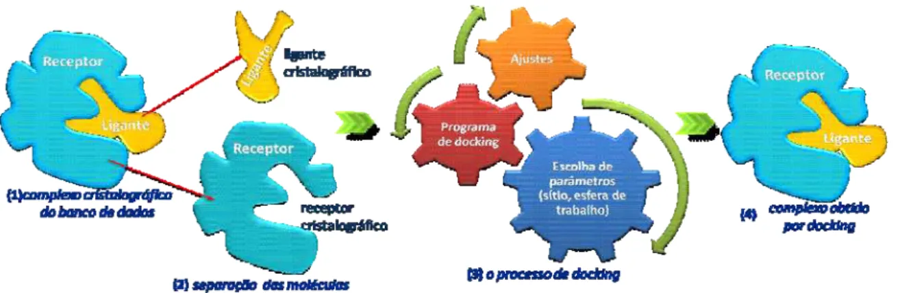 Figura 7 - O processo de redocking 