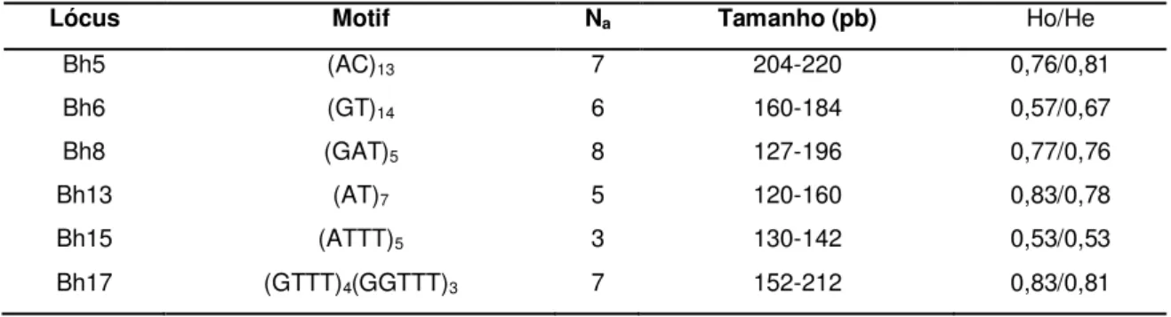 Tabela 2. Lista dos locos caracterizados para a espécie  Brycon  hilarii, com número de alelos  (N A )  e  heterozigosidade  esperada  (H e )  e  observada  (H E )  baseadas  em  uma  amostra  de  30  indivíduos