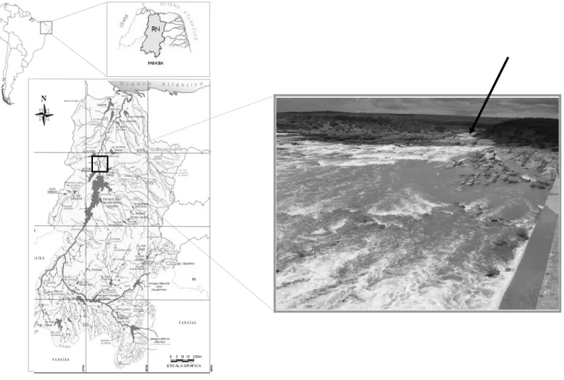 Figura 1. Área de Estudo: rio Assu, município de Taipu/RN, Brasil (05º39’92’’ S; 036º53’92’’ W)