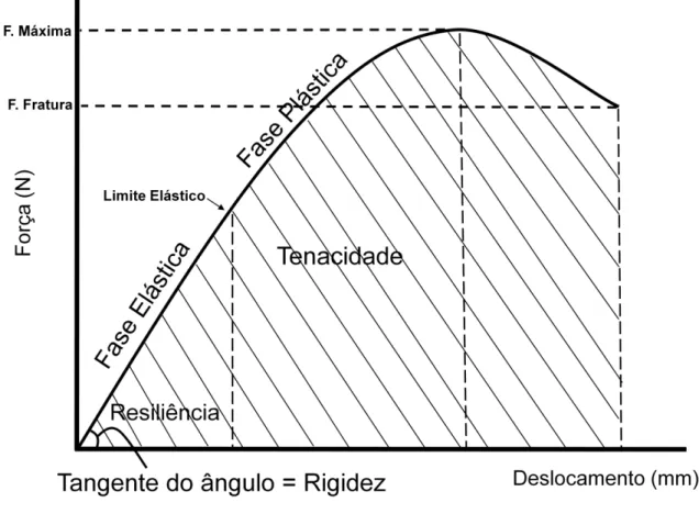 Figura 3 - Representação esquemática de uma curva Força x Deformação registrado pelo software  Instron Series IX durante o ensaio biomecânico