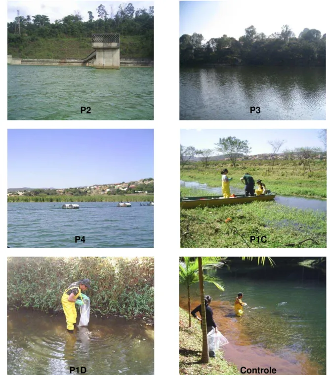 FIGURA 5.3 - Fotos dos diferentes pontos de coletos na Represa Ibirité (a,b e c) e  cursos de água (d, e e f)