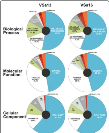 Figure 3 Pie chart representations of GO entries occurrence among genes detected in VSa13 and VSa16 cells