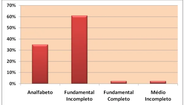 Figura 3  –  Caracterização dos idosos entrevistados quanto ao nível de escolaridade. São Carlos, 2010