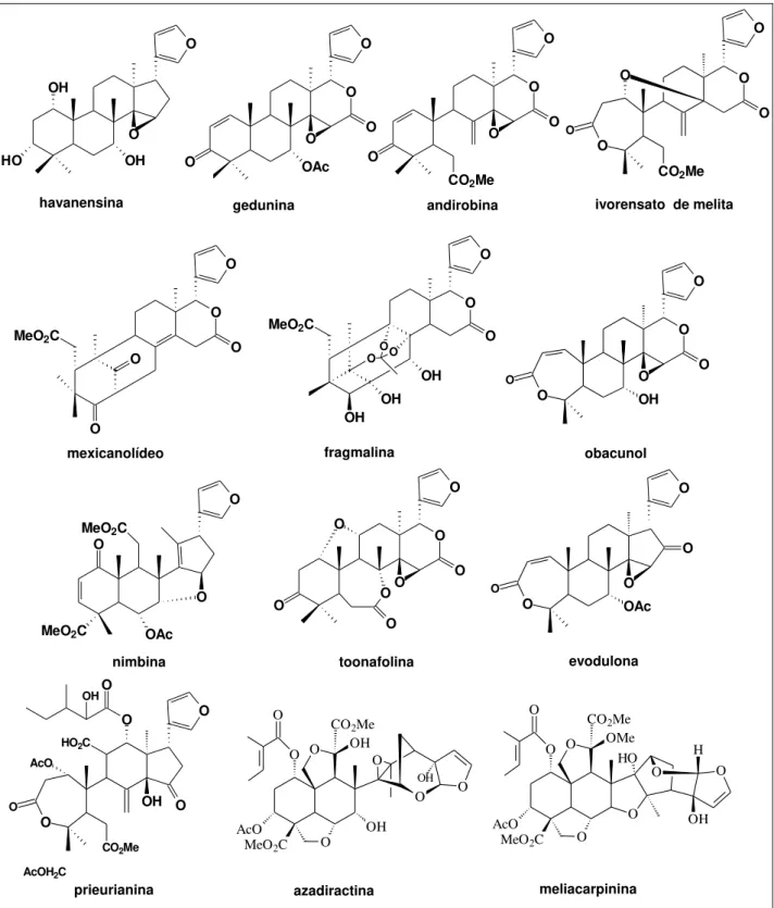 Figura  1.3:  Substâncias  que  representam  os  principais  tipos  de  esqueletos  dos  limonóides isolados de Meliaceae