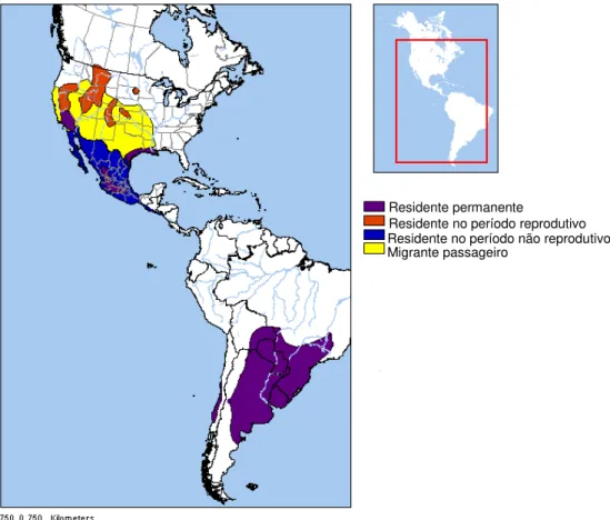 Figura 3: Distribuição de Plegadis chihi nas Américas  Fonte: NatureServe, 16/12/2010  