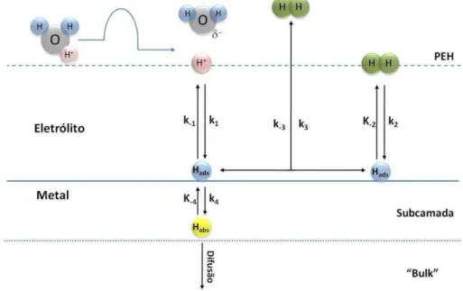 Figura  2.9:  Representação  esquemática  do  mecanismo  de  absorção  de  hidrogênio por um substrato metálico durante polarização catódica