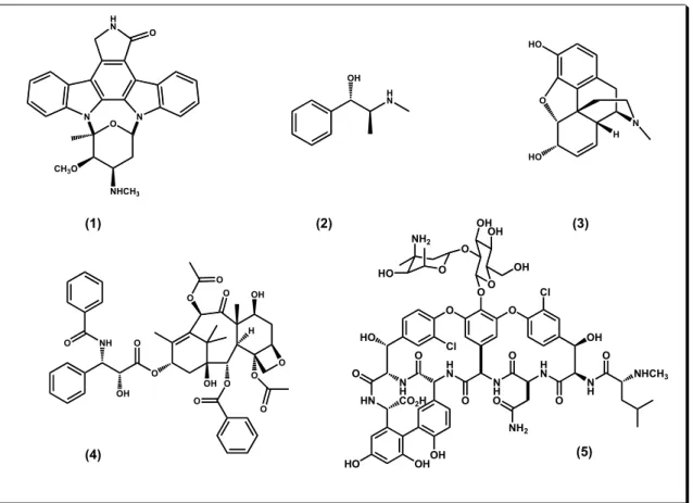 Figura 1. Estruturas de alguns dos Produtos Naturais utilizados como fármacos. 