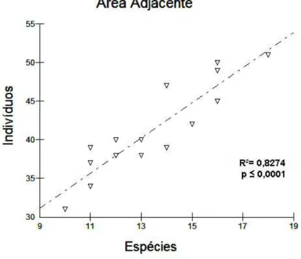 Figura  4.  Relação entre o número de espécies e  abundância de indivíduos  observados em bandos mistos na área adjacente à área onde ocorreu o fogo