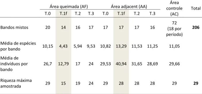 Tabela 1.  Número de amostras (bandos mistos acompanhados), número médio de espécies e de  indivíduos por bando, e riqueza total de espécies que formaram bandos, detalhados por área e por  período (tratamentos) em cada tratamento