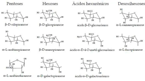 Figura 2 - Fórmulas estruturais dos açúcares constituintes das hemiceluloses  (FENGEL; WEGENER, 1989)