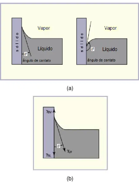 Figura 2. 8. Formação de menisco em superfície sólida vertical (a) com sólido  hidrofílico e hidrofóbico, menisco positivo e menisco negativo, respectivamente