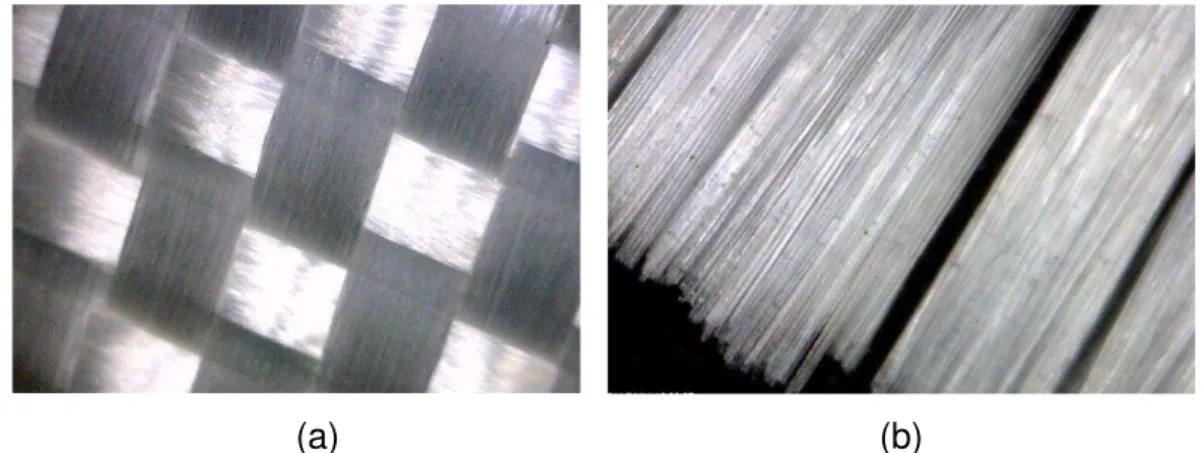 Figura 3. 3. Imagens da fibra de vidro, geradas por microscópio digital Dino-Lite  AM-313T com ampliação (a) fibra na forma de tecido bidirecional (Plain 