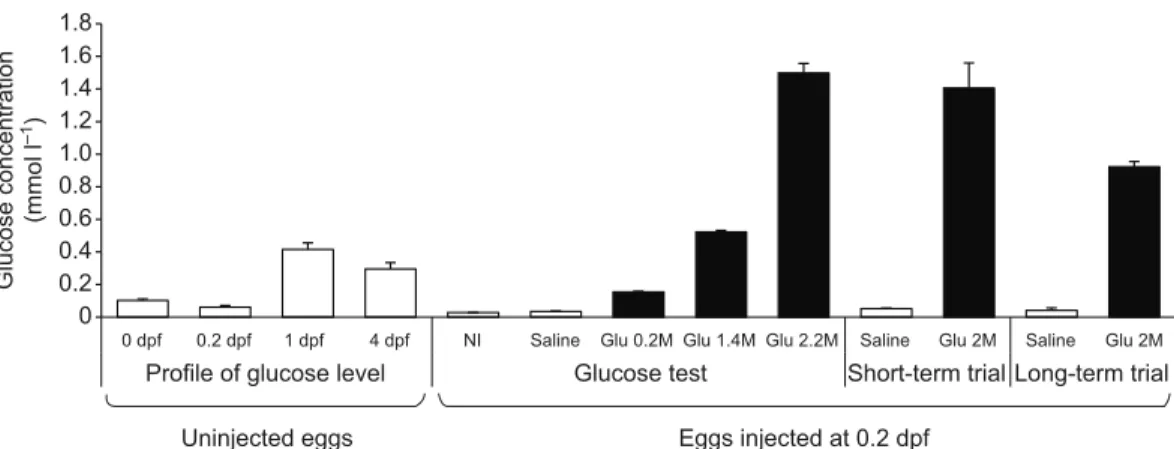 Fig. 1. Glucose levels in zebrafish embryos and larvae. Natural changes from zygote to endogenous feeding larvae (up to 4 dpf) in non-injected eggs and changes after injection into the yolk (at 0.2 dpf) of graded glucose doses in comparison with basal leve