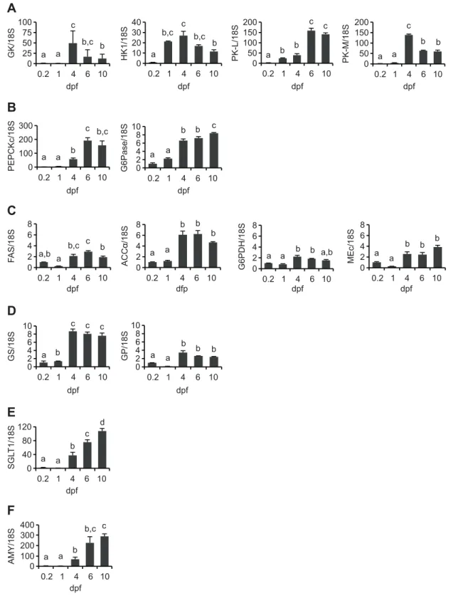 Fig. 2. Relative expression profiles (fold variation) of genes from zebrafish larvae up to 10 dpf in comparison to the levels observed at 0.2 dpf (30%