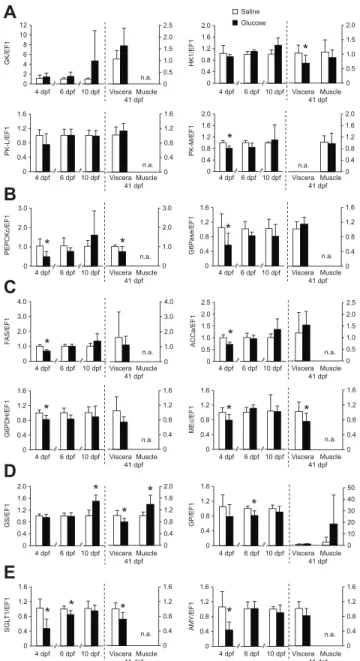 Fig. 3. Short-term and long-term effects of glucose injection on gene expression in larvae at 4, 6 and 10 dpf and juveniles at 41 dpf